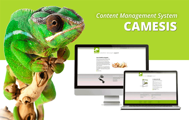 Webdesign mit CMS